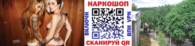 Купить наркотики цена Петровск-Забайкальский ГАШ  Марихуана  Мефедрон 