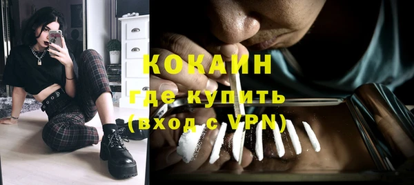стафф Алексин
