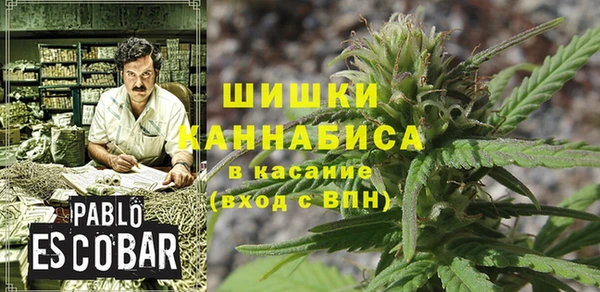 дурь Алзамай