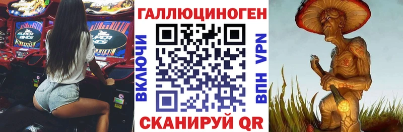 Псилоцибиновые грибы MAGIC MUSHROOMS  наркотики  Петровск-Забайкальский 